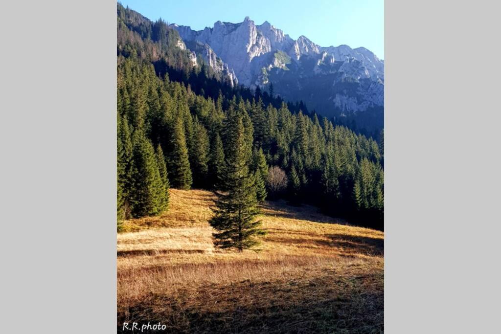 Domek Goralski Parzenica Koscielisko Luaran gambar